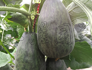 ����3̖-��ϷN��-�����@ˇ