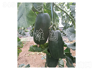 ����7̖-��ϷN��-�����@ˇ