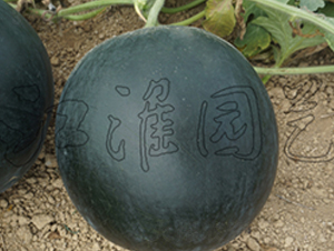 ī��10̖-���ϷN��-�����@ˇ