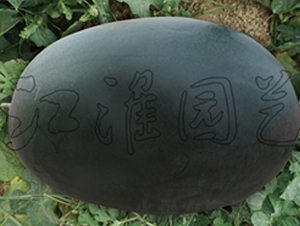 ī��11̖-���ϷN��-�����@ˇ