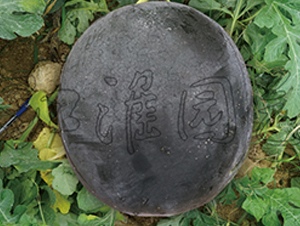 ī��7̖-���ϷN��-�����@ˇ