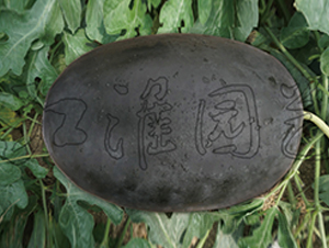 ī��6̖-���ϷN��-�����@ˇ