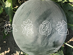 ī��17̖-���ϷN��-�����@ˇ