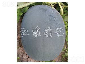 ī��18̖-���ϷN��-�����@ˇ