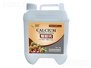 �Ǵ��}-��������