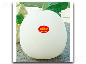 ѩ����1̖-��ϷN��-���ƷN��