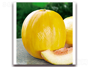 �������-��ϷN��-���ƷN��