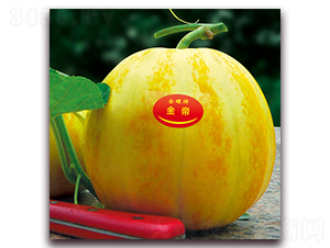 ���-��ϷN��-���ƷN��