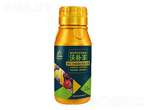 250ml�����T����������΢��Ԫ��-�֘��S-��̩�r(n��ng)�I(y��)