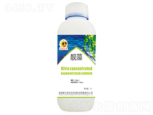 �n��-���ֺ�