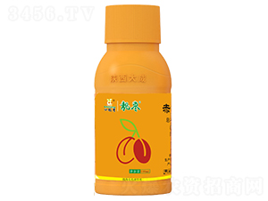 �n���{(di��o)��(ji��)��-�������