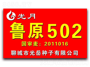 ��ԭ502-С���N��-�����N��