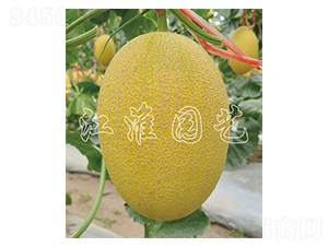 �t��1̖-��ϷN��-�����@ˇ