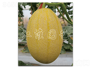 �t��3̖-��ϷN��-�����@ˇ