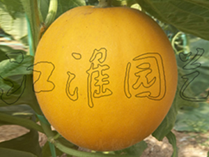 ��ͯ3̖-��ϷN��-�����@ˇ