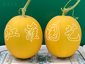 ��ͯ7̖-��ϷN��-�����@ˇ