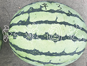 ׿Խ3̖-���ϷN��-�����@ˇ