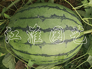 ׿Խ8̖-���ϷN��-�����@ˇ