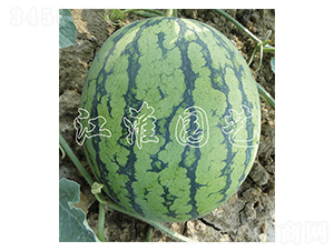 �m��-���ϷN��-�����@ˇ