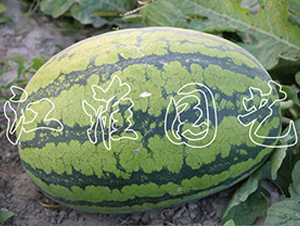 ��ˇ����3̖-���ϷN��-�����@ˇ