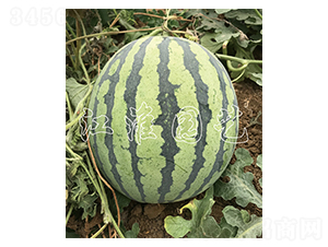 ����4̖-���ϷN��-�����@ˇ