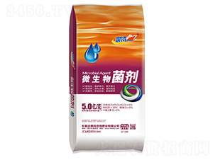 ΢���������5�|�����-���L����