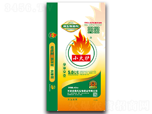 ΢�������-С��t-���L(f��ng)����