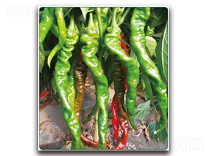 �ش��]��-�����N��-���i�N�I(y��)