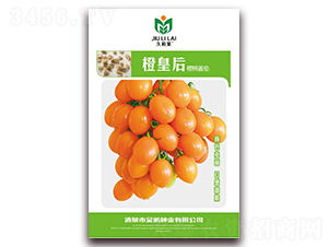 �Ȼʺ�-���ѷN��-���i�N�I(y��)