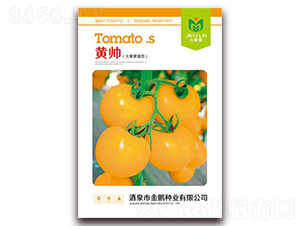 �S��-���ѷN��-���i�N�I(y��)