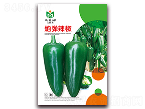 �ڏ�����-�����N��-���i�N�I(y��)