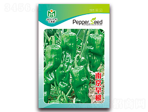 �Ͼ��罷-�����N��-���i�N�I(y��)