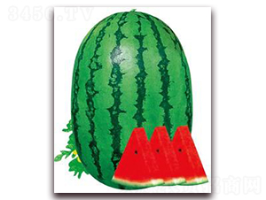 �ش����-���ϷN��-���i�N�I(y��)