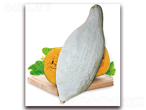 �F���Ϲ�-�ϹϷN��-���i�N�I(y��)