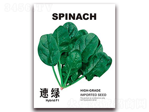 �پG-���˷N��-���i�N�I(y��)