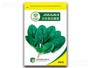 ���~�s������-���˷N��-���i�N�I(y��)