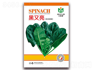 ������-���˷N��-���i�N�I(y��)