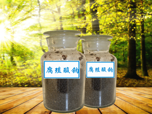 ��ֳ���c�w��-�P��