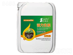 ��������-�@��Ԫ