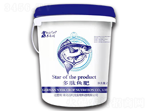 �����~��-�K�՝�-�@��Ԫ