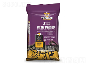 ΢�������-�@��Ԫ