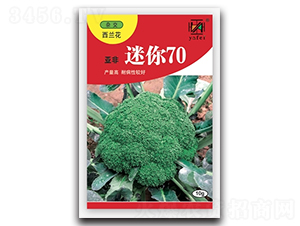 ����70-���m���N��-����