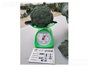 ���m��20024-���m���N��-����