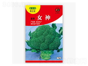 ����Ů��-���m���N��-����