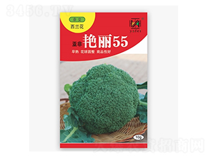 �����G��55-���m���N��-����