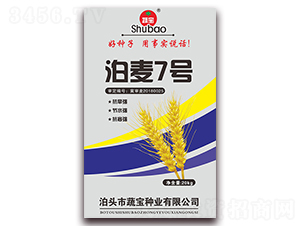 ����7̖-С���N��-�ߌ��N�I(y��)