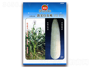 �ߌ�����Ŵ-Ŵ���׷N��-�ߌ��N�I(y��)