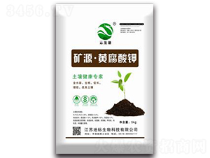 �VԴ���S�����-�ؘ�����