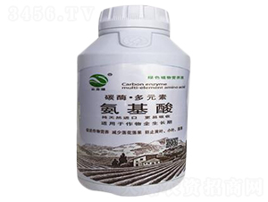 ̼ø����Ԫ�ذ�����-�ؘ�(bi��o)����