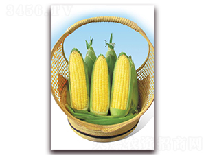 ������̖-�rʳ���׷N��-�|������